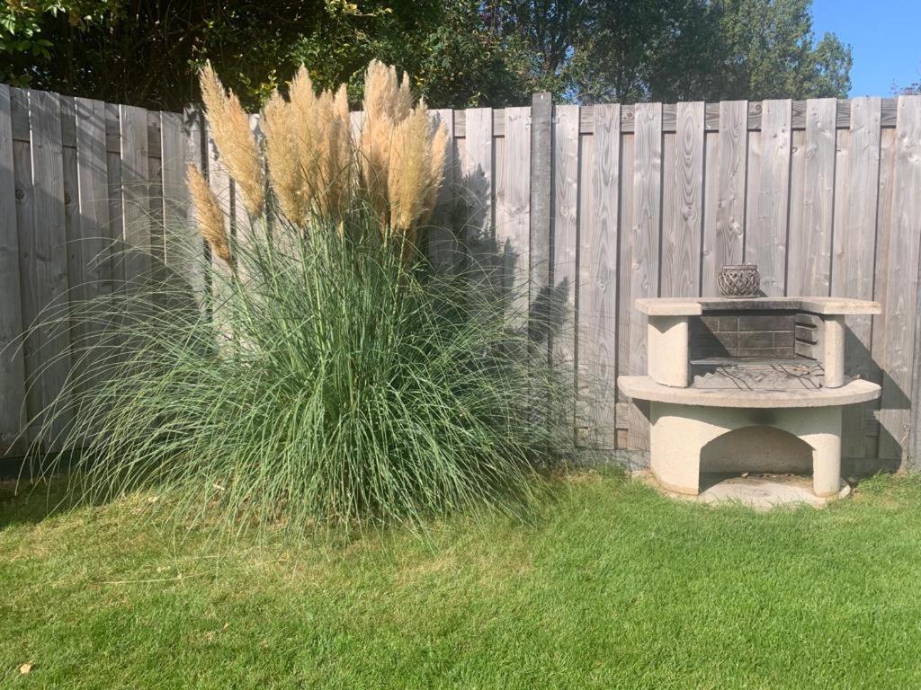Holiday Cottage With Sauna In Zeeland Stavenisse المظهر الخارجي الصورة